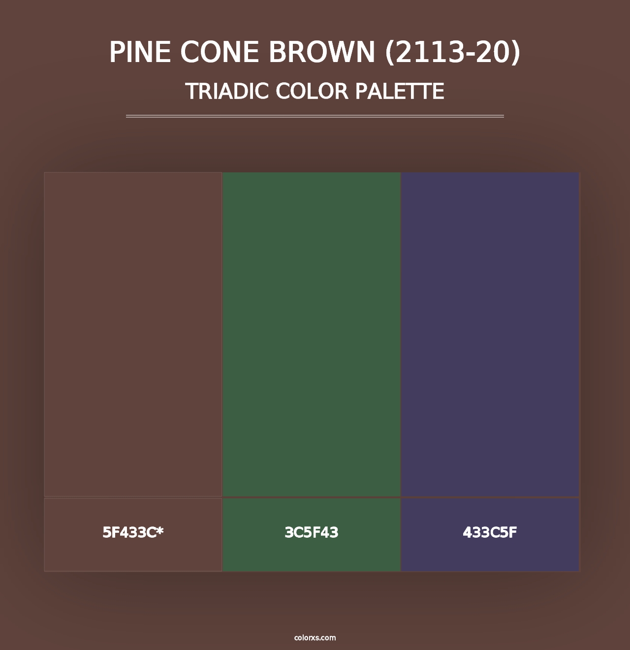 Pine Cone Brown (2113-20) - Triadic Color Palette