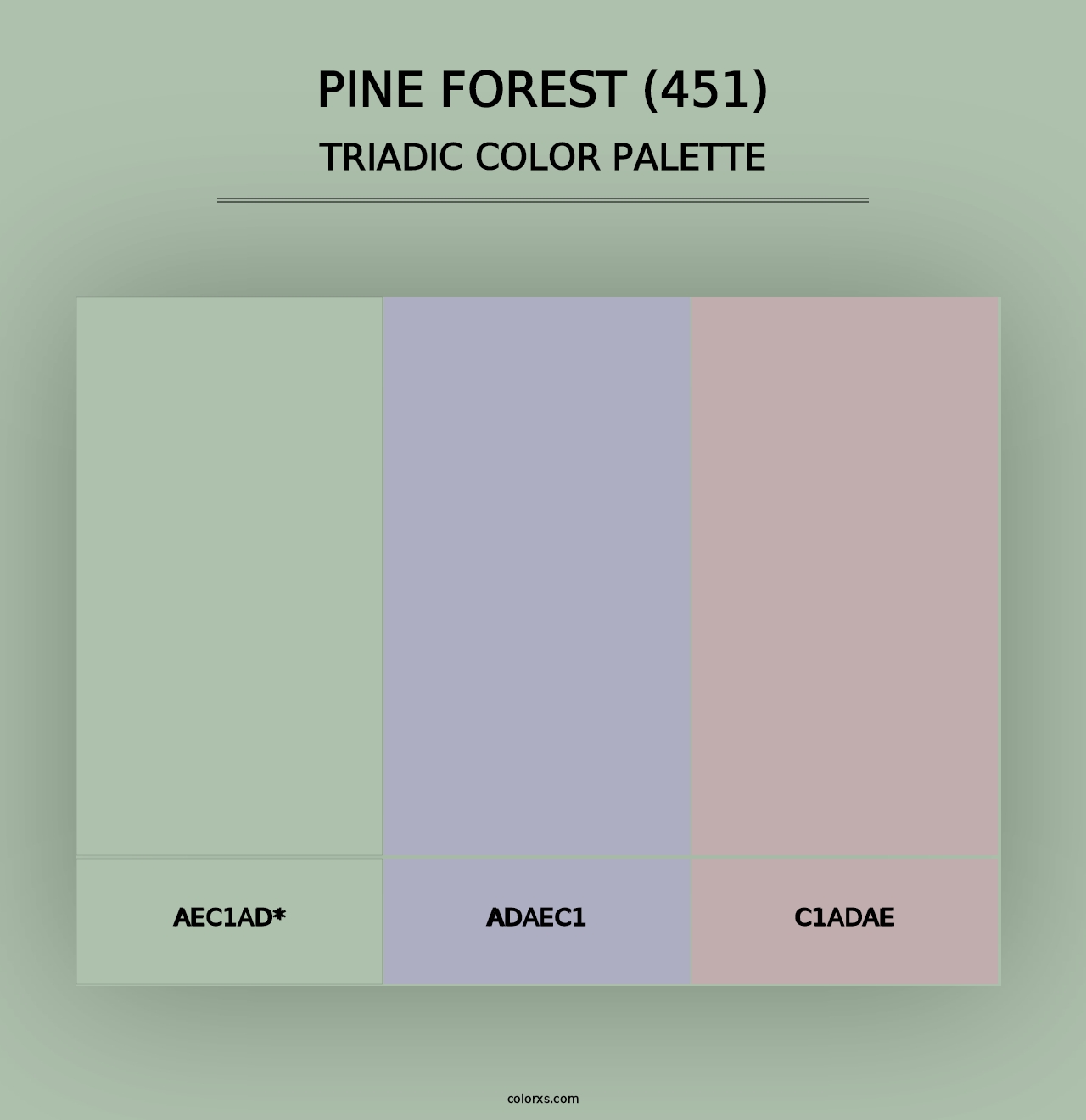 Pine Forest (451) - Triadic Color Palette