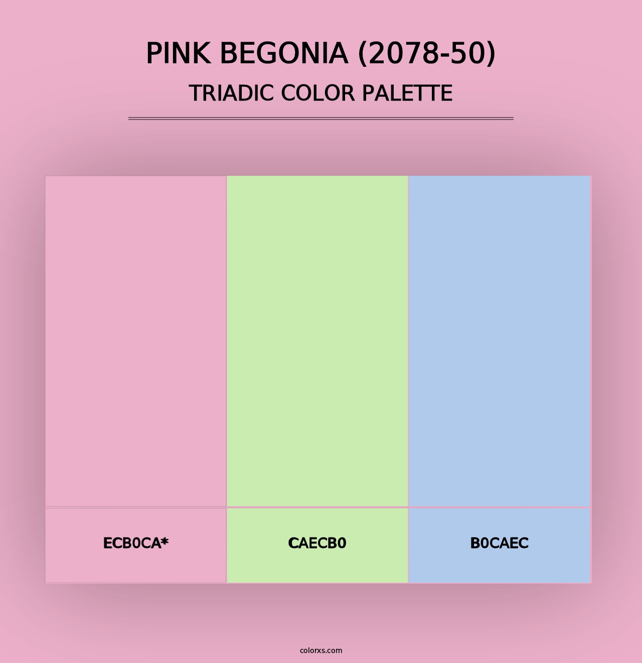 Pink Begonia (2078-50) - Triadic Color Palette