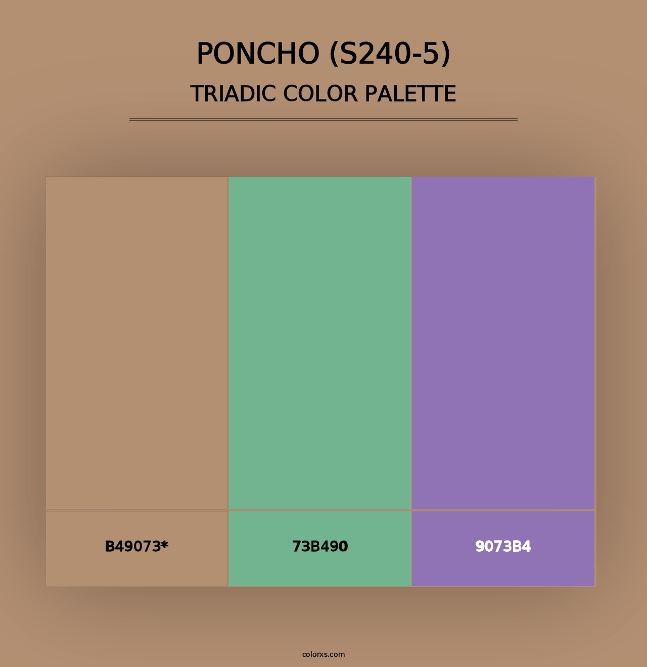 Poncho (S240-5) - Triadic Color Palette