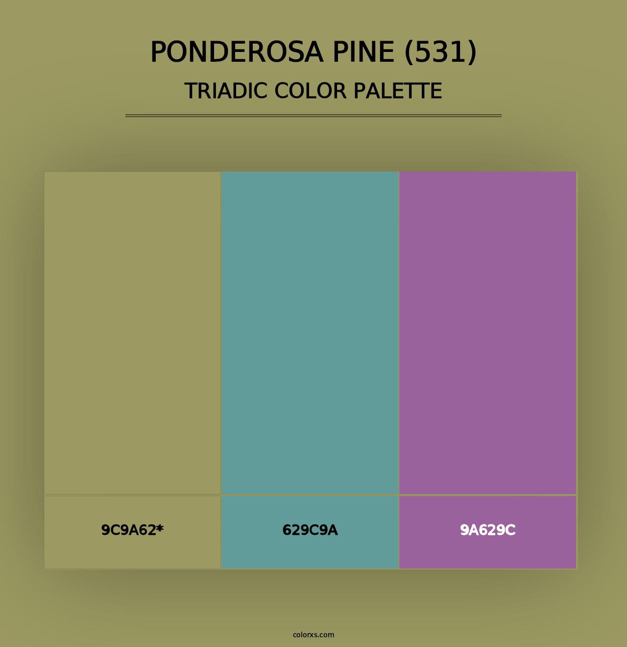 Ponderosa Pine (531) - Triadic Color Palette