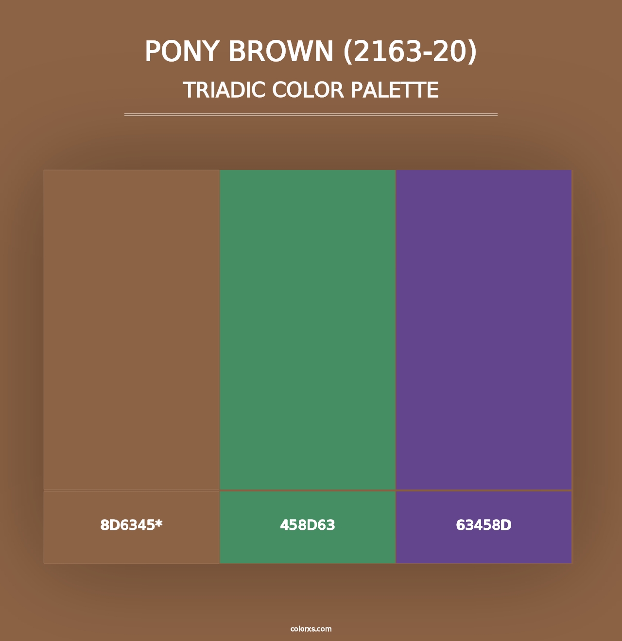 Pony Brown (2163-20) - Triadic Color Palette