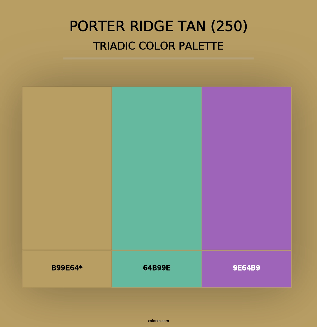 Porter Ridge Tan (250) - Triadic Color Palette