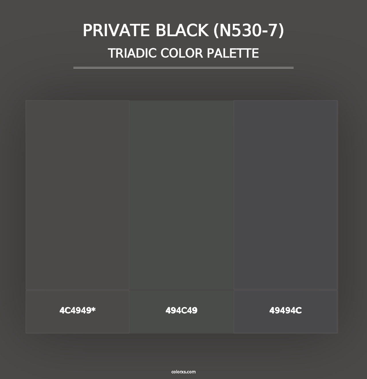 Private Black (N530-7) - Triadic Color Palette