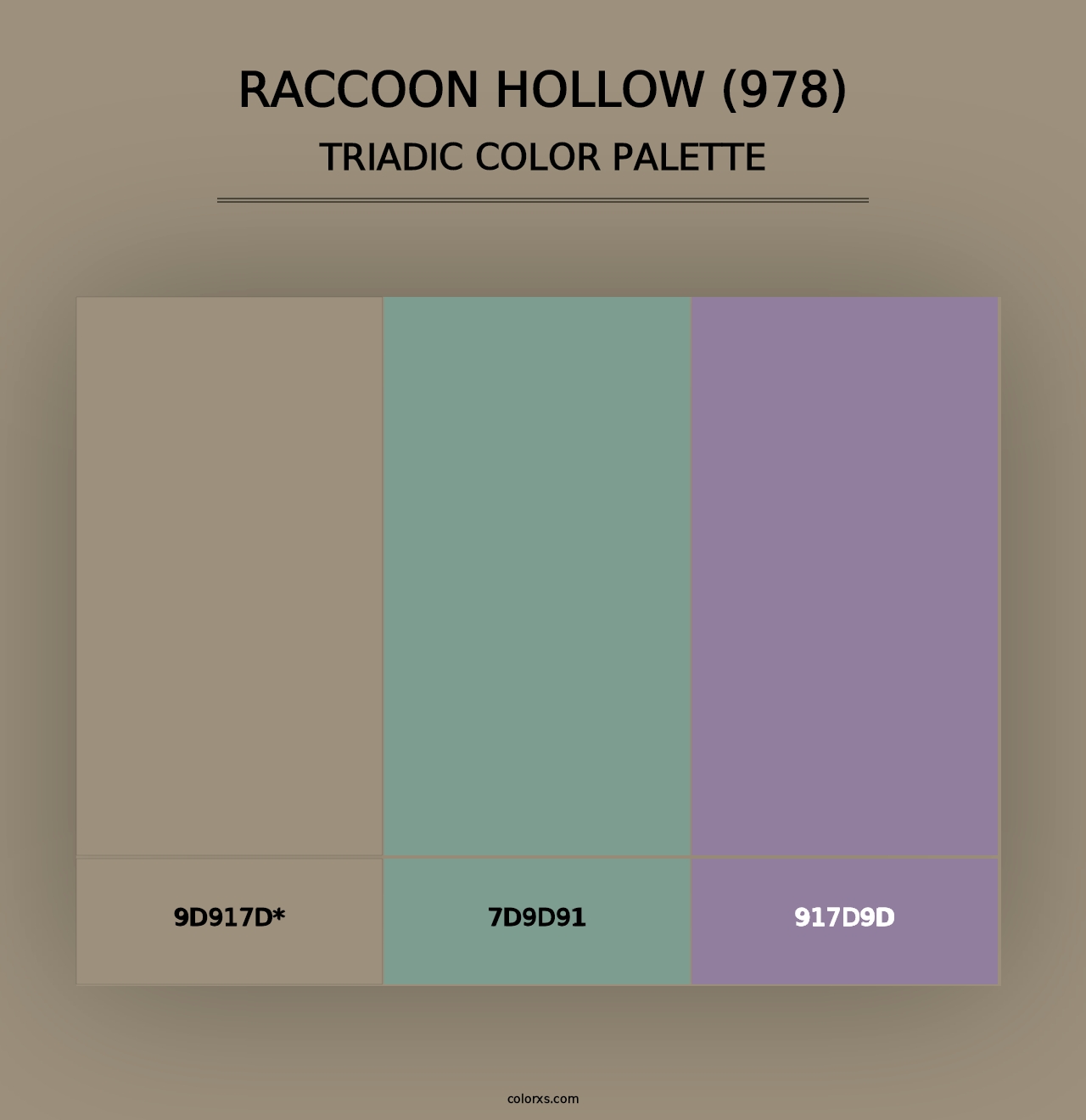 Raccoon Hollow (978) - Triadic Color Palette