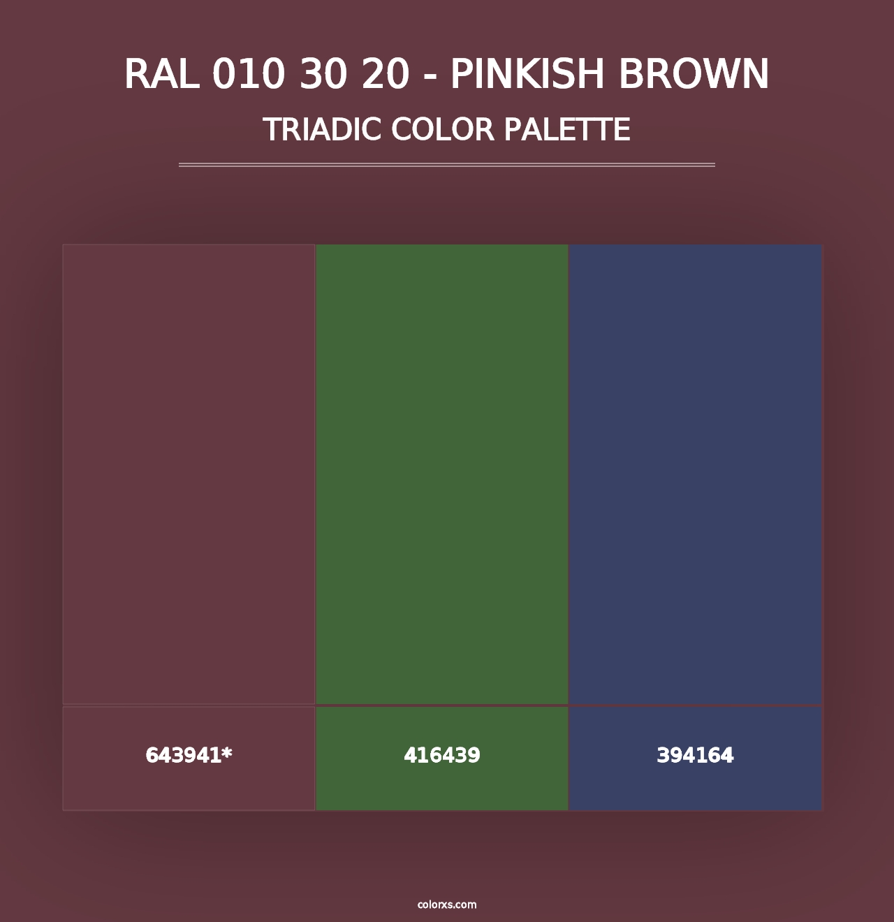 RAL 010 30 20 - Pinkish Brown - Triadic Color Palette