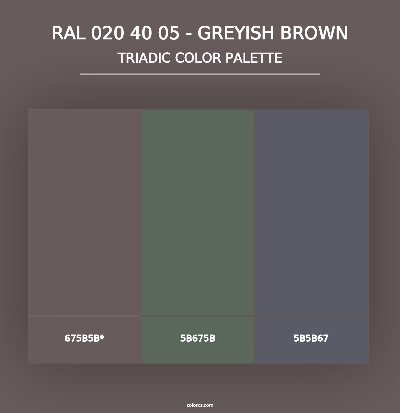 RAL 020 40 05 - Greyish Brown - Triadic Color Palette