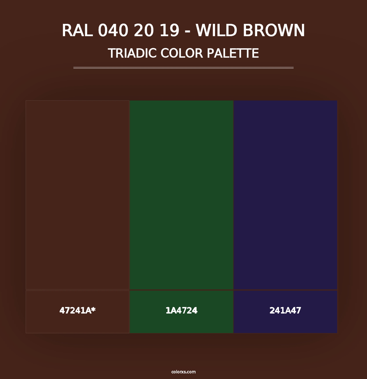 RAL 040 20 19 - Wild Brown - Triadic Color Palette