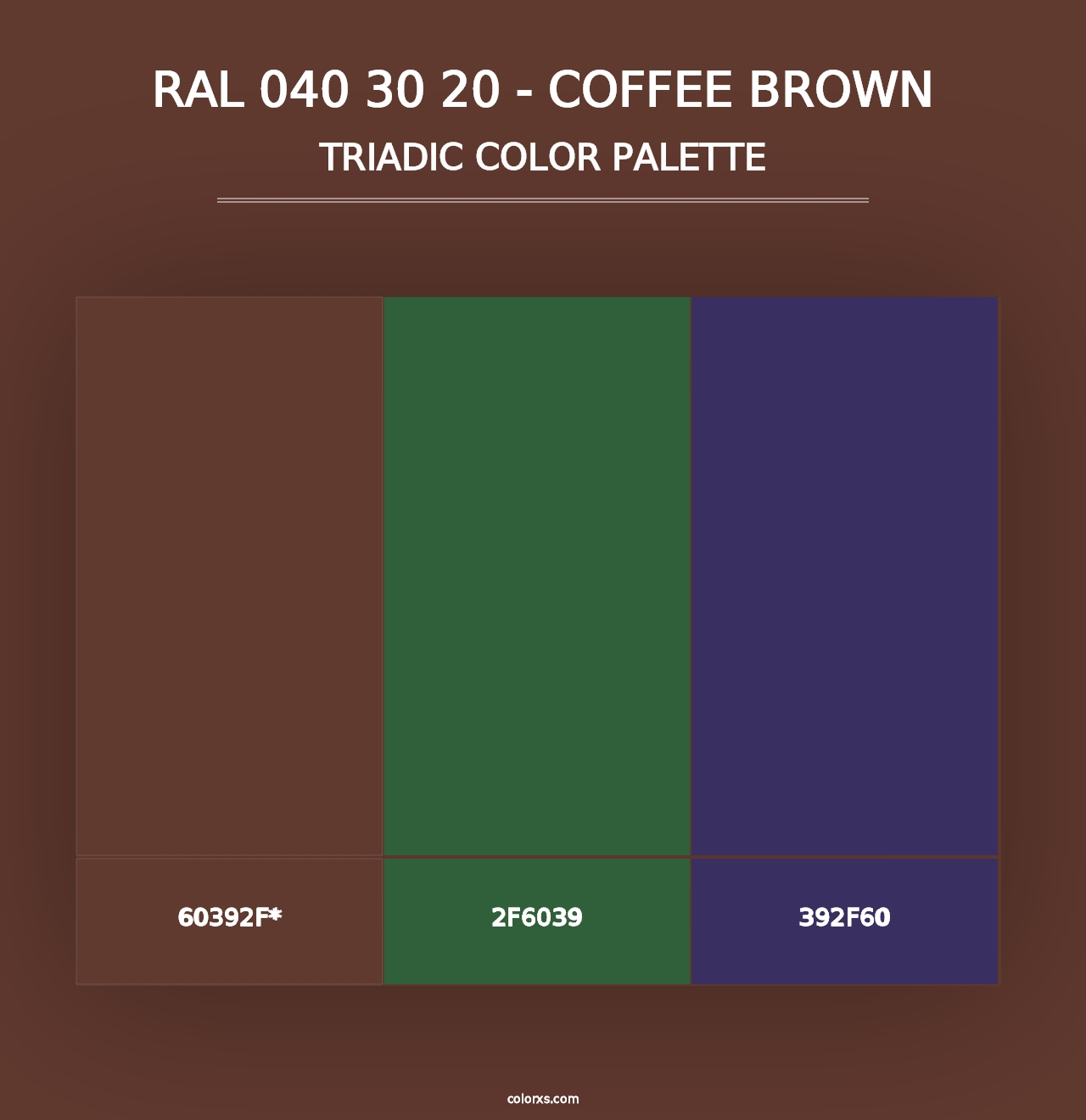 RAL 040 30 20 - Coffee Brown - Triadic Color Palette