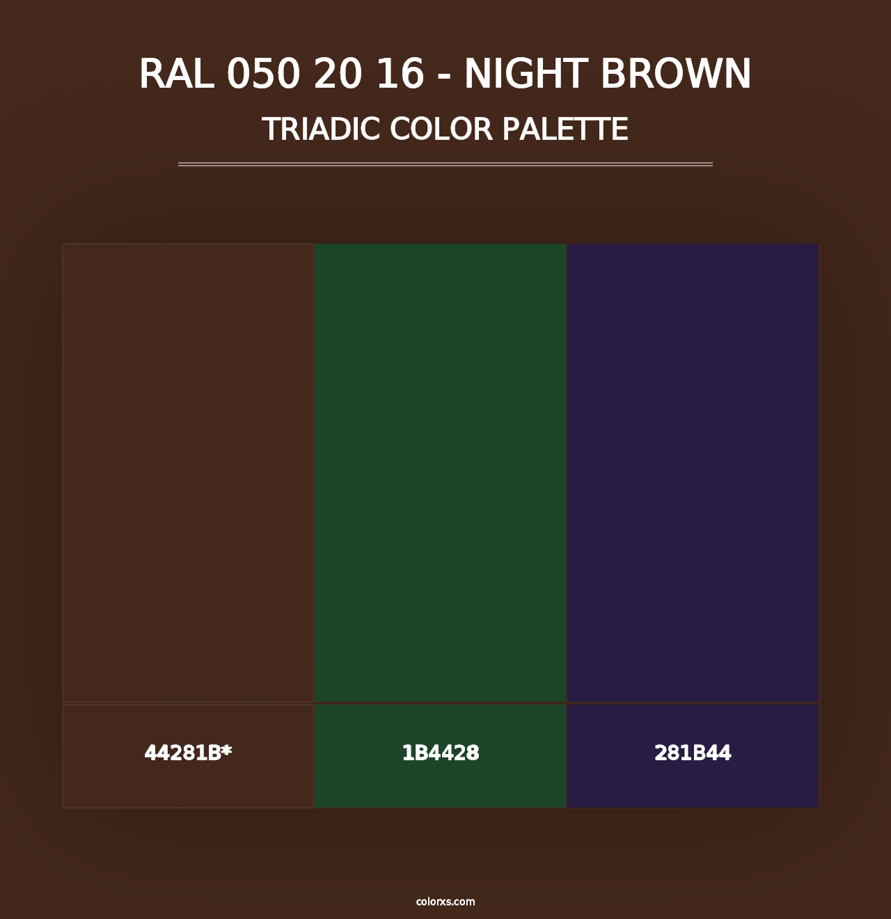 RAL 050 20 16 - Night Brown - Triadic Color Palette