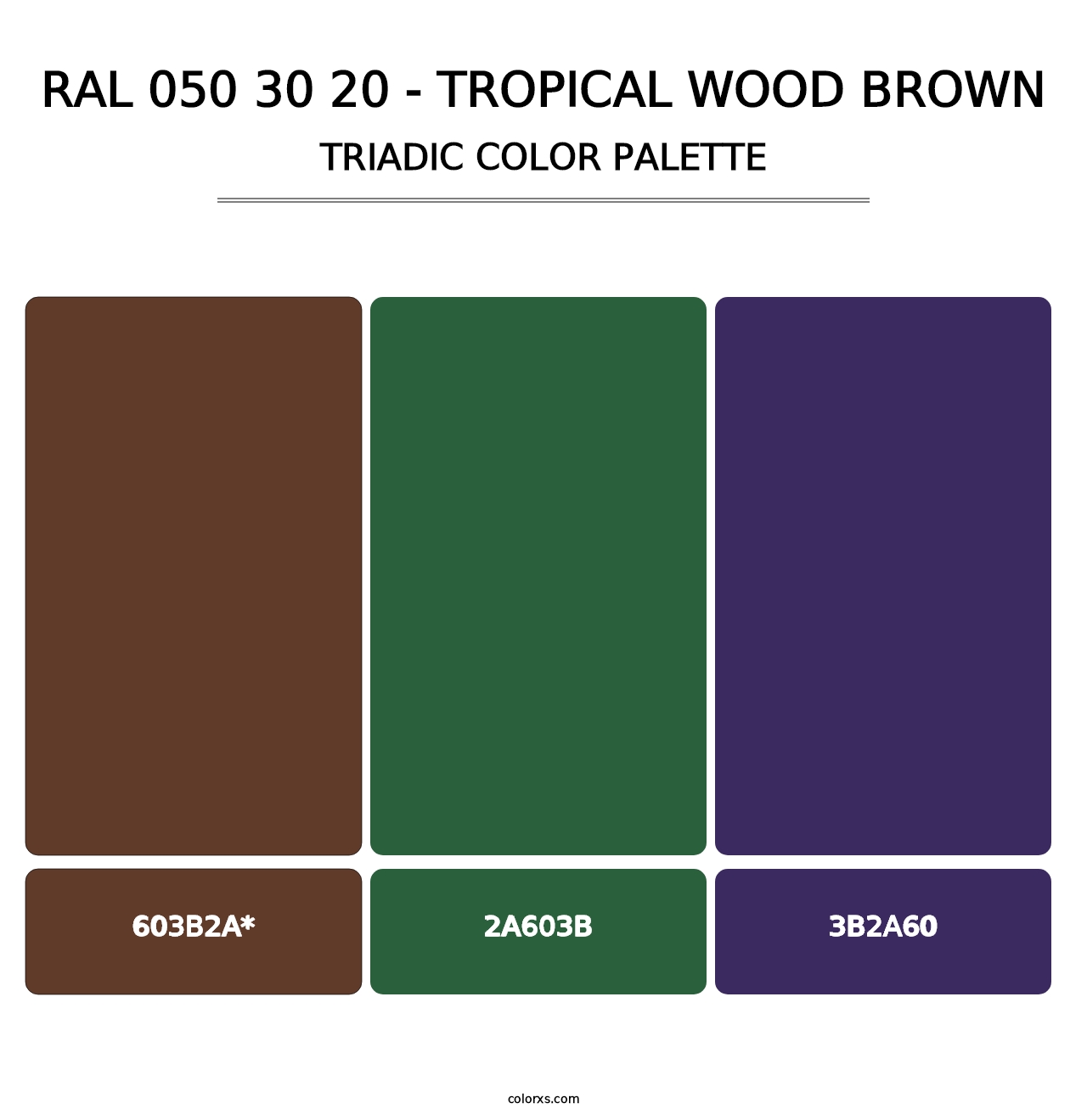 RAL 050 30 20 - Tropical Wood Brown - Triadic Color Palette