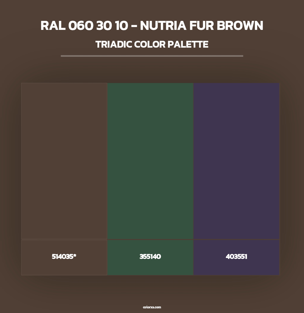 RAL 060 30 10 - Nutria Fur Brown - Triadic Color Palette