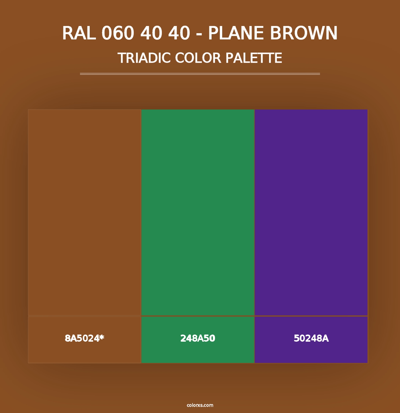 RAL 060 40 40 - Plane Brown - Triadic Color Palette