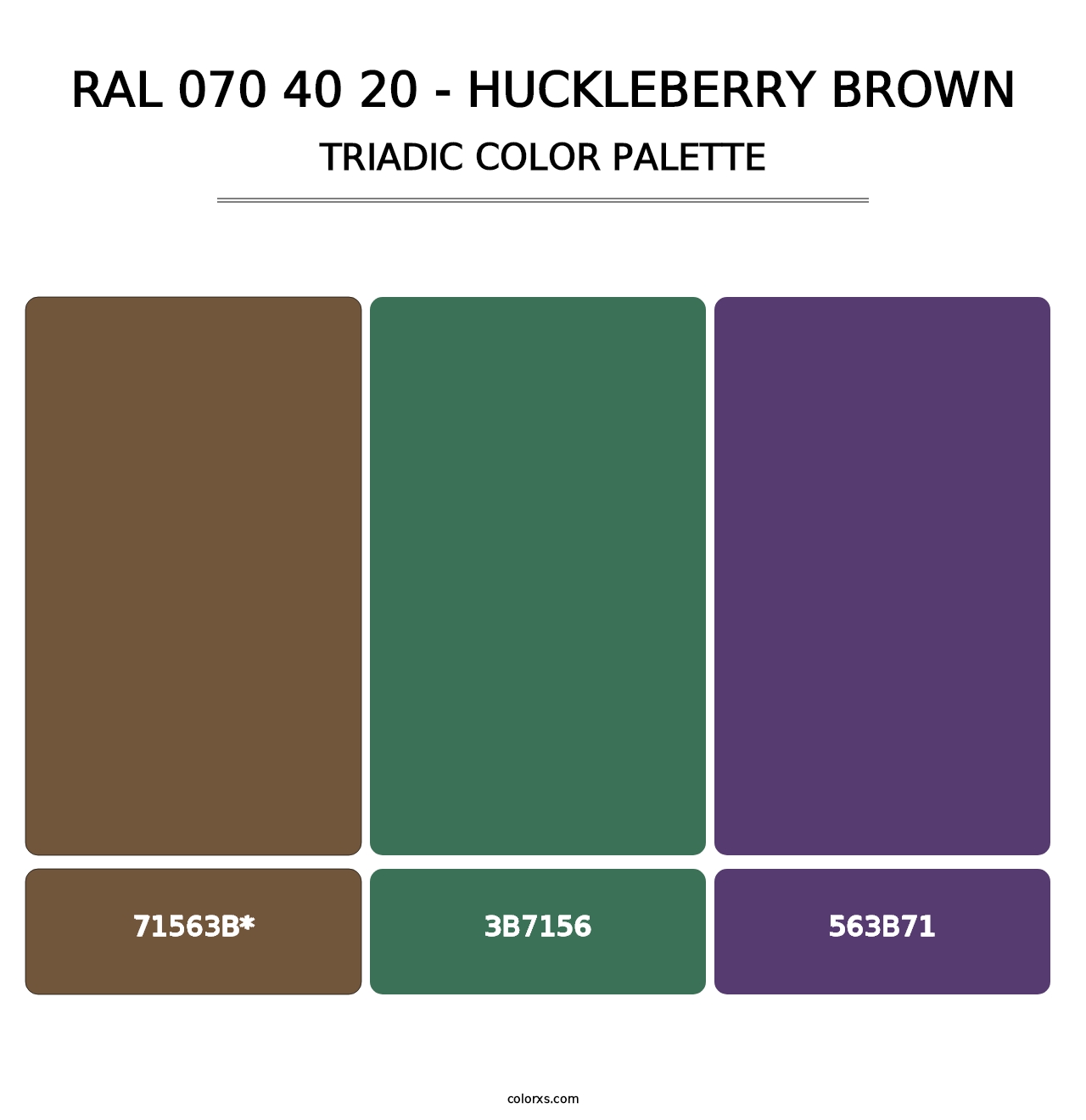 RAL 070 40 20 - Huckleberry Brown - Triadic Color Palette