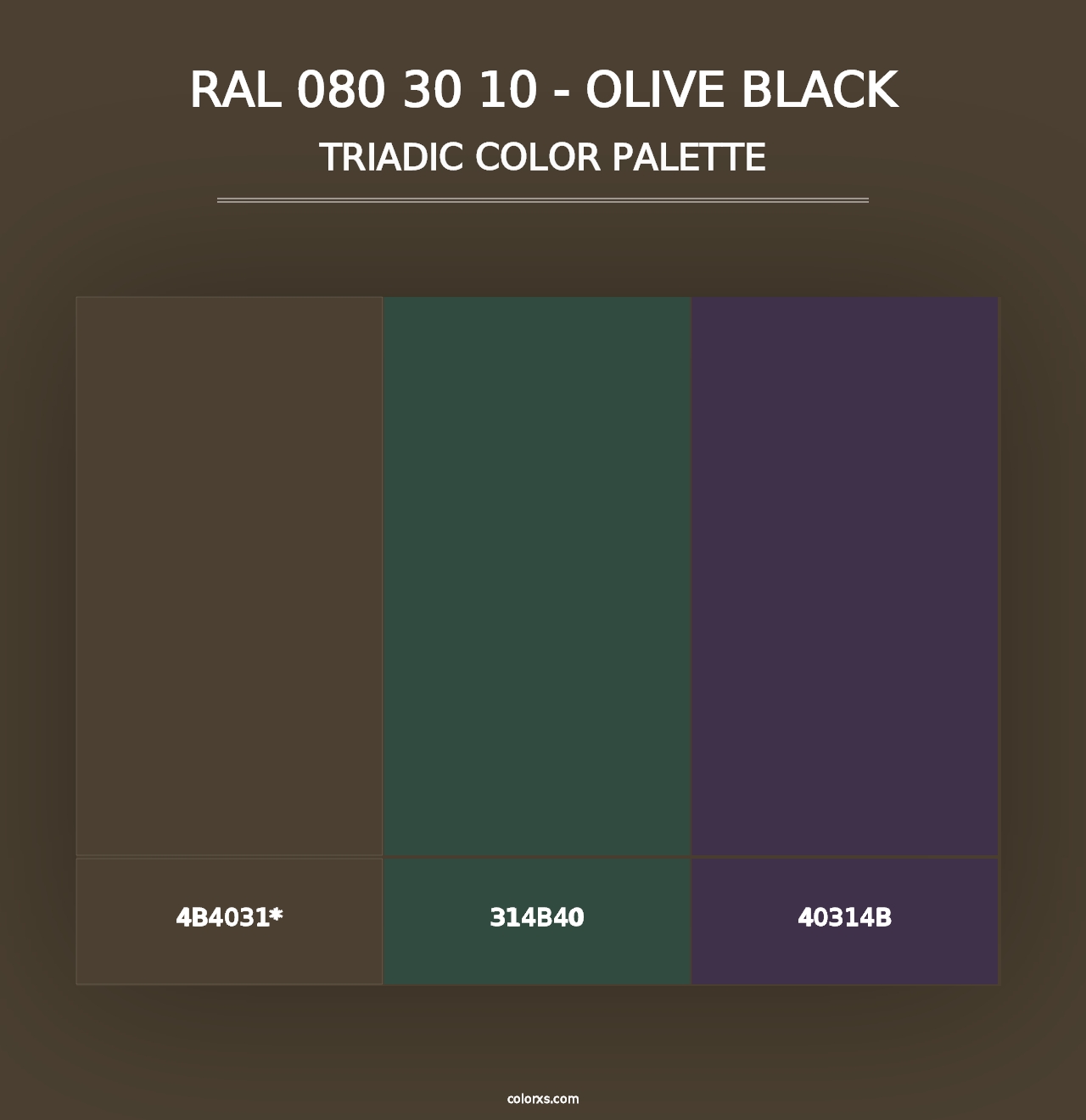 RAL 080 30 10 - Olive Black - Triadic Color Palette