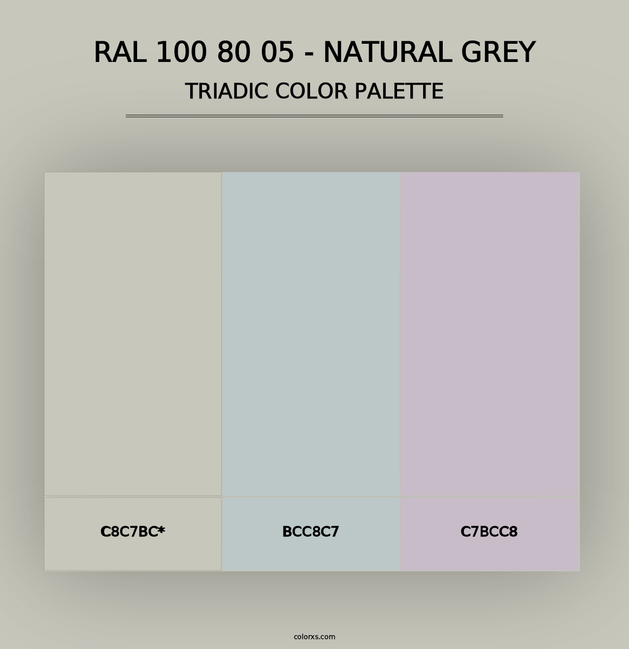 RAL 100 80 05 - Natural Grey - Triadic Color Palette