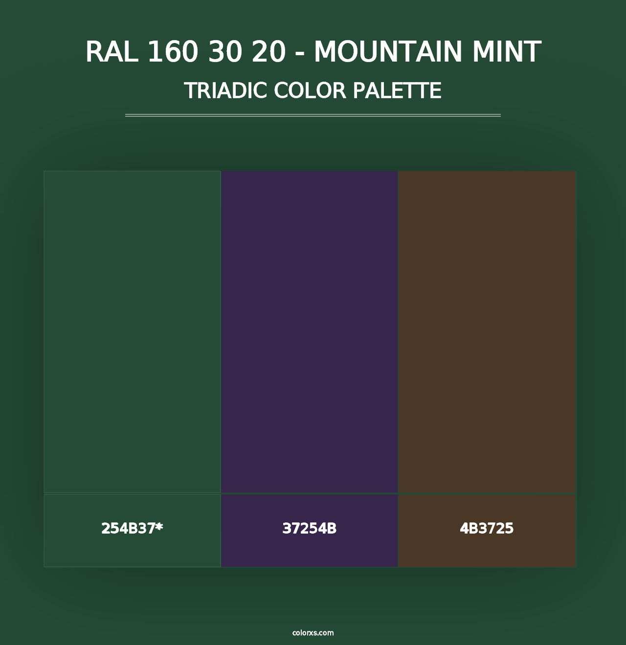 RAL 160 30 20 - Mountain Mint - Triadic Color Palette