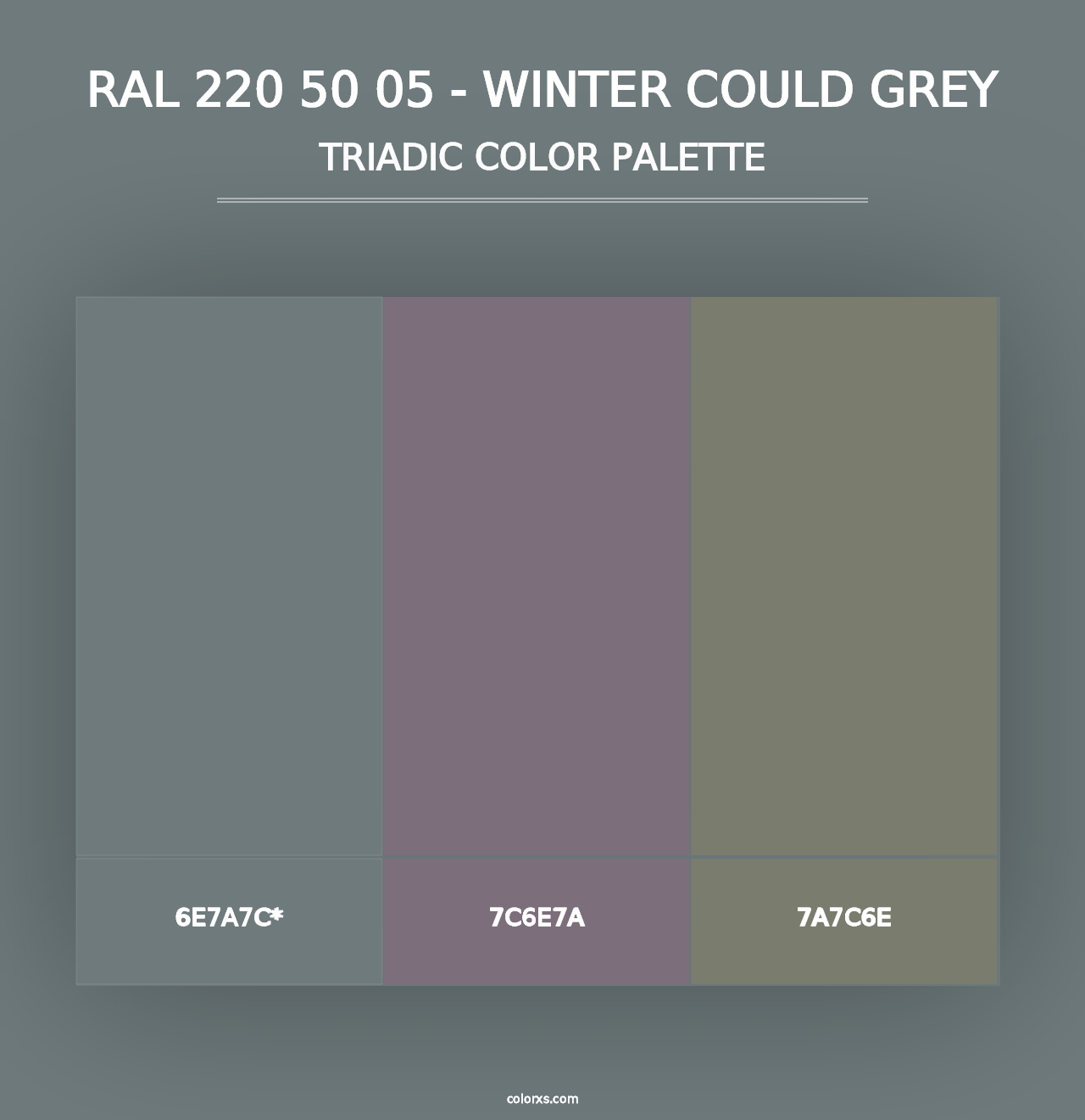 RAL 220 50 05 - Winter Could Grey - Triadic Color Palette