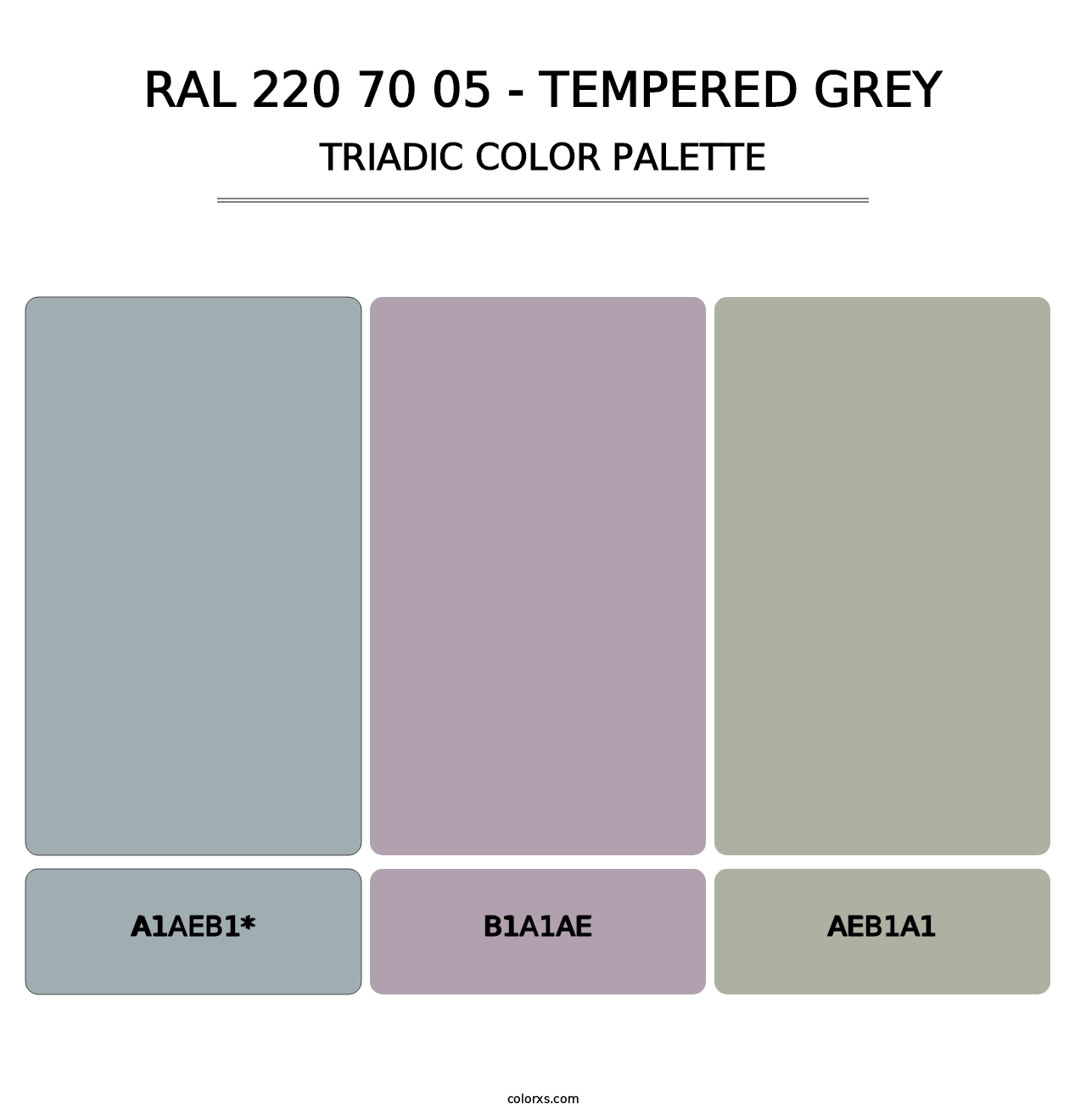 RAL 220 70 05 - Tempered Grey - Triadic Color Palette