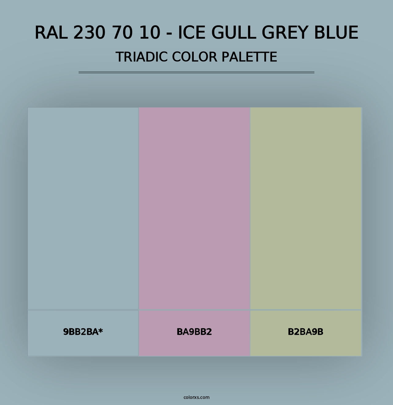 RAL 230 70 10 - Ice Gull Grey Blue - Triadic Color Palette