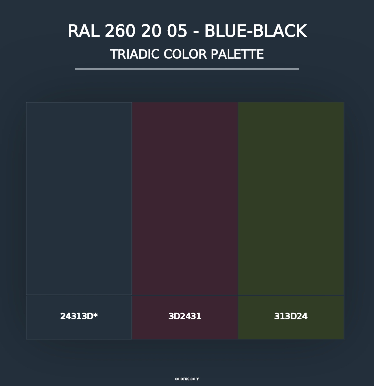 RAL 260 20 05 - Blue-Black - Triadic Color Palette