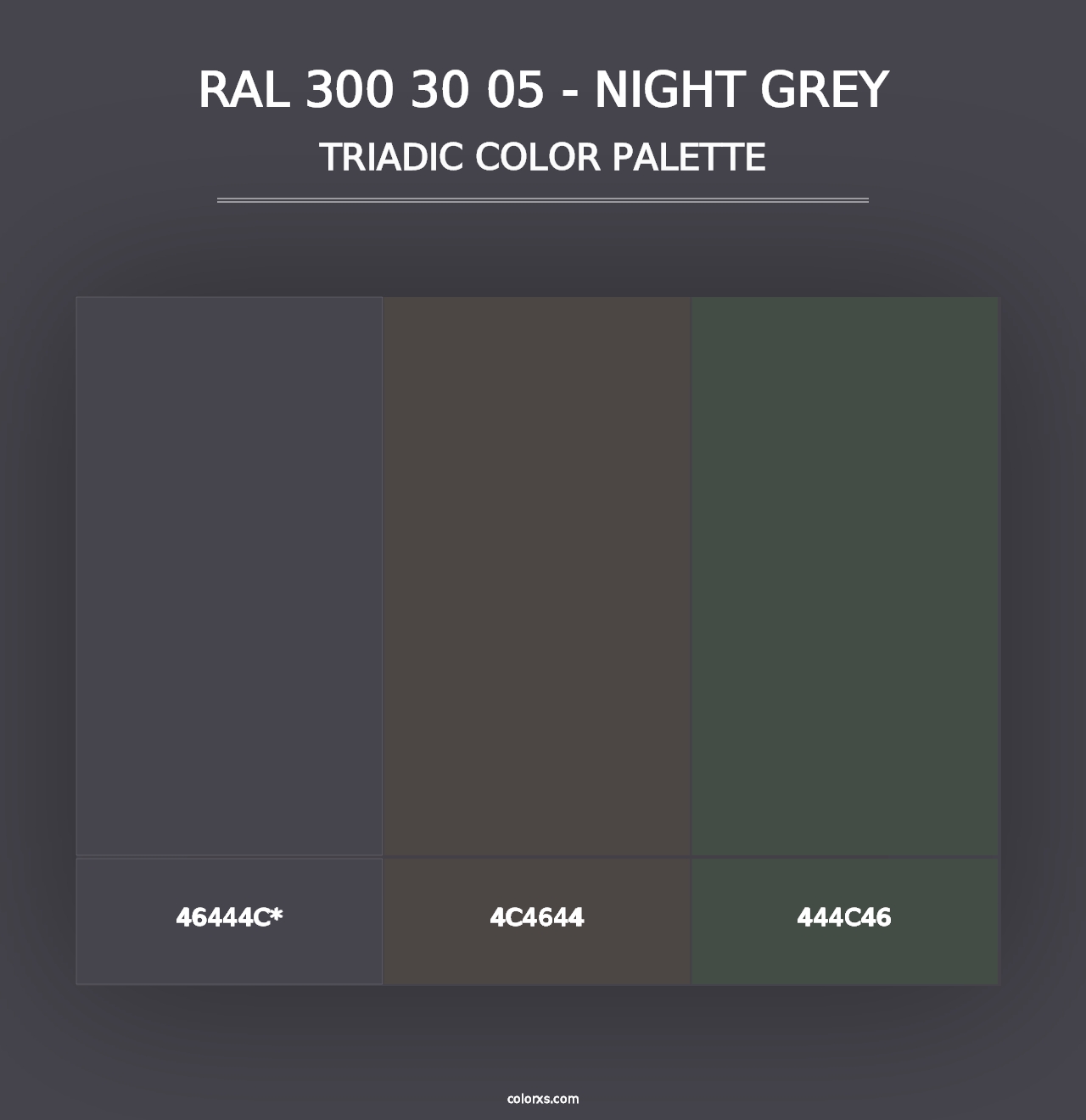 RAL 300 30 05 - Night Grey - Triadic Color Palette