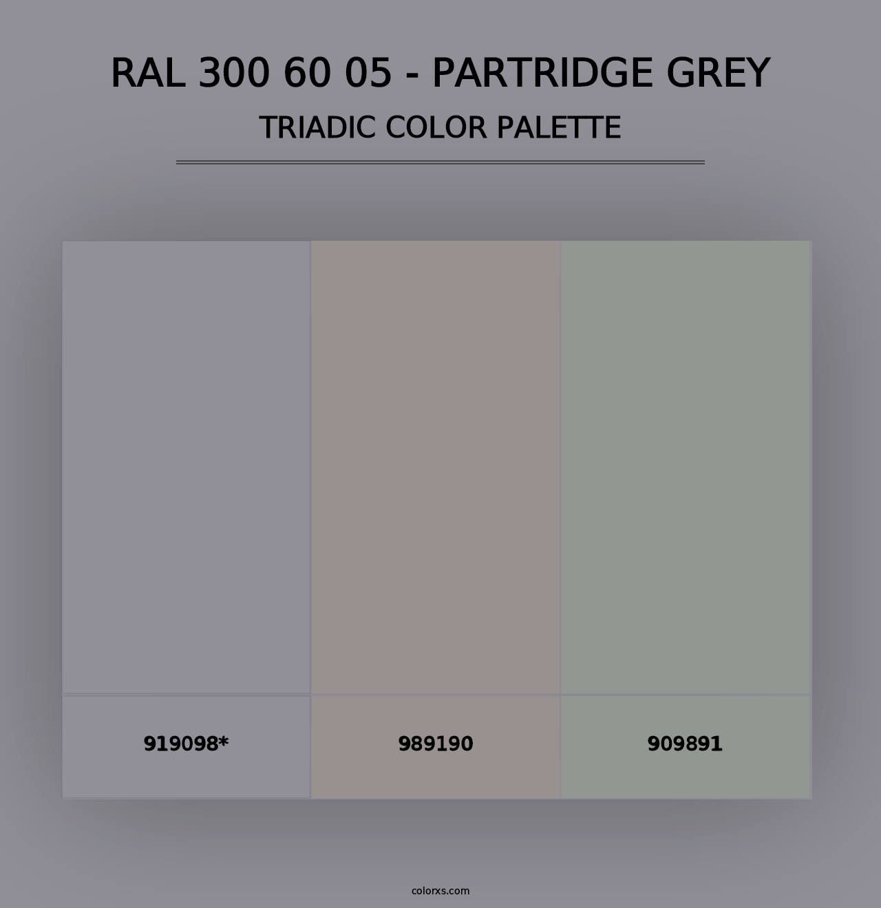 RAL 300 60 05 - Partridge Grey - Triadic Color Palette