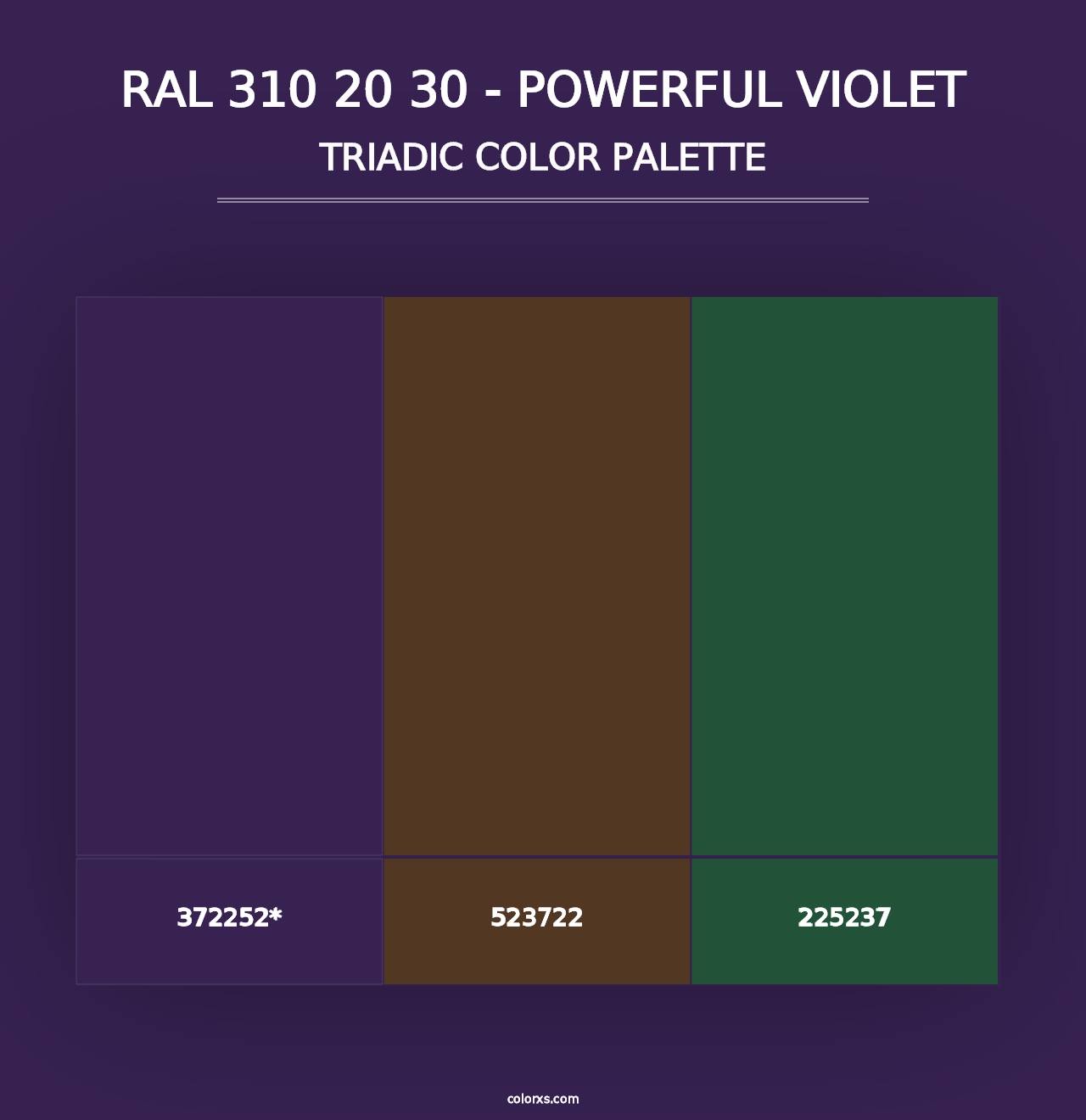 RAL 310 20 30 - Powerful Violet - Triadic Color Palette