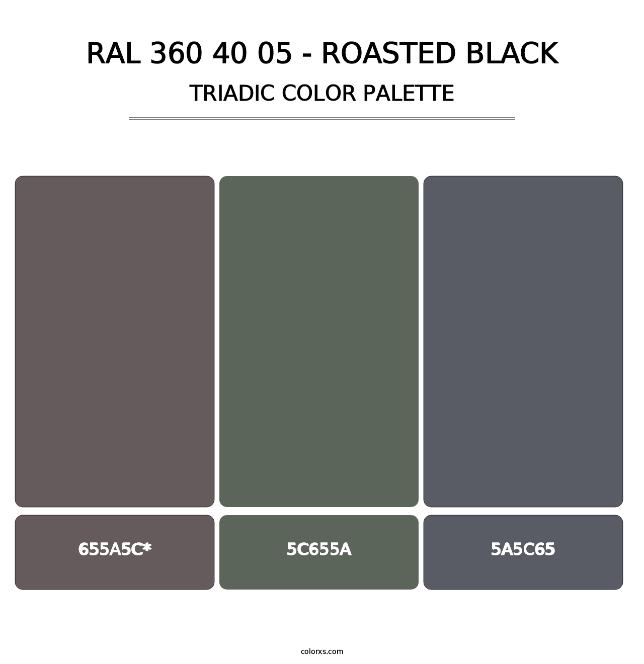 RAL 360 40 05 - Roasted Black - Triadic Color Palette