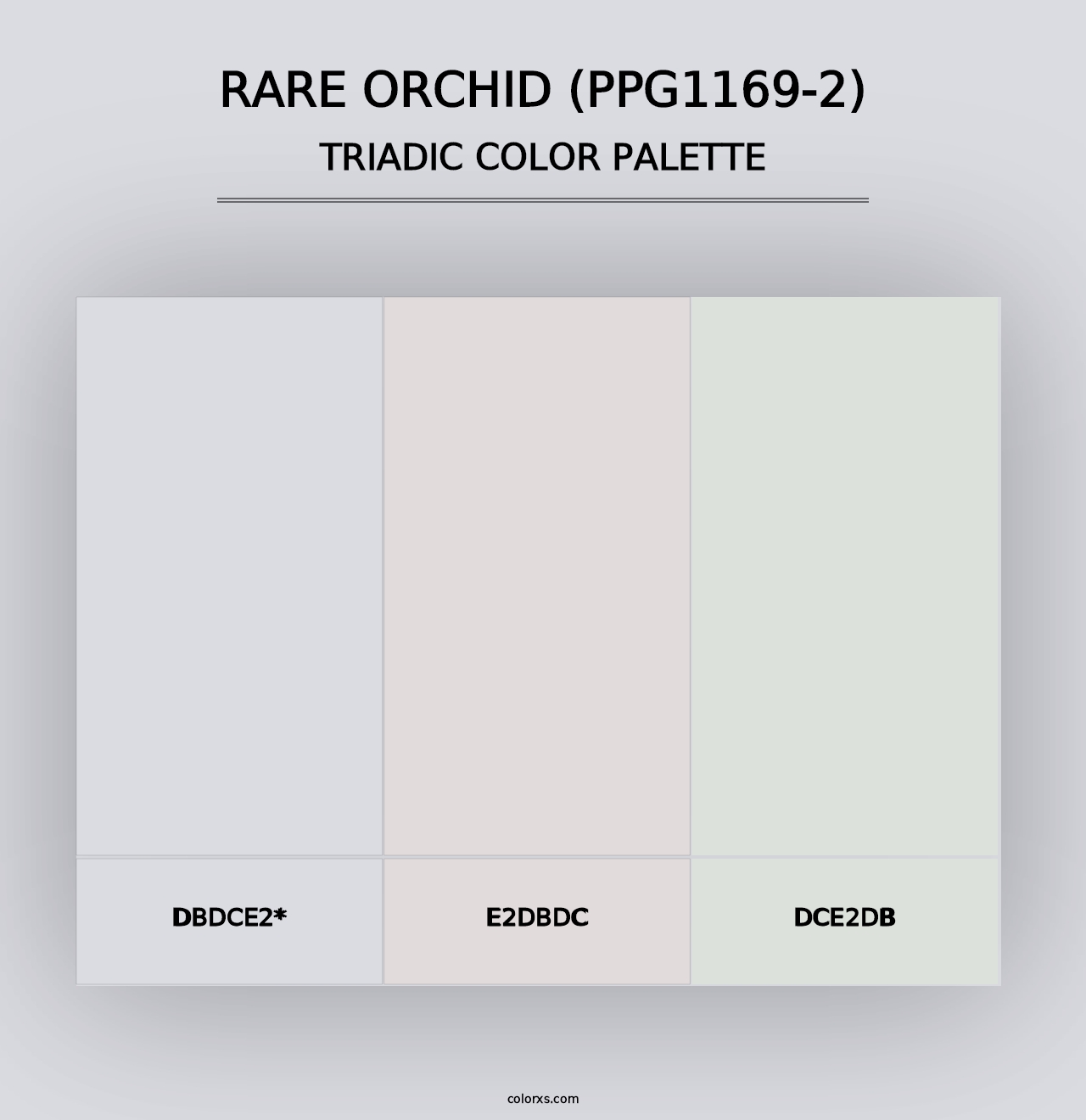 Rare Orchid (PPG1169-2) - Triadic Color Palette