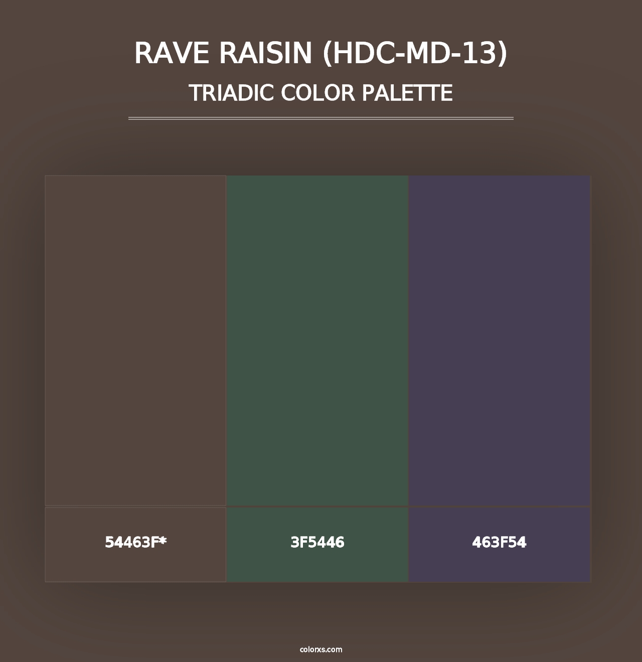 Rave Raisin (HDC-MD-13) - Triadic Color Palette