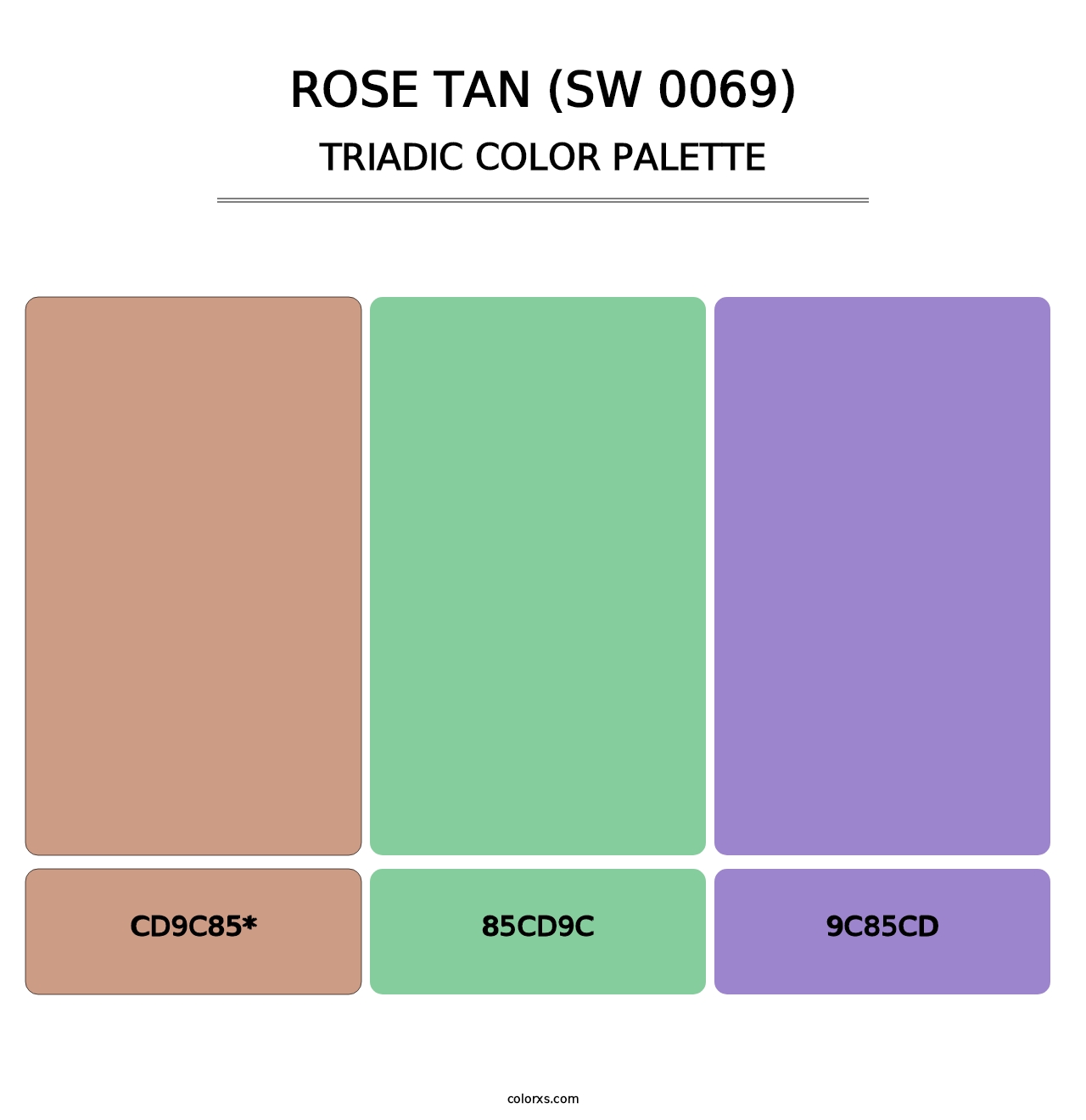 Rose Tan (SW 0069) - Triadic Color Palette