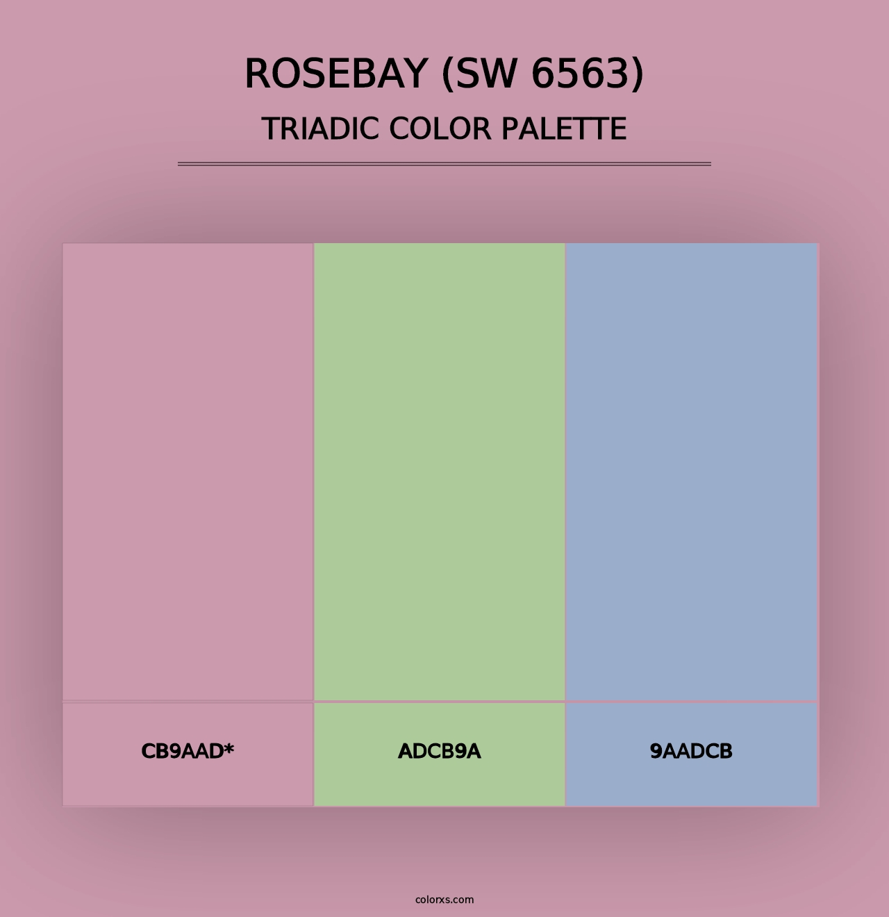 Rosebay (SW 6563) - Triadic Color Palette