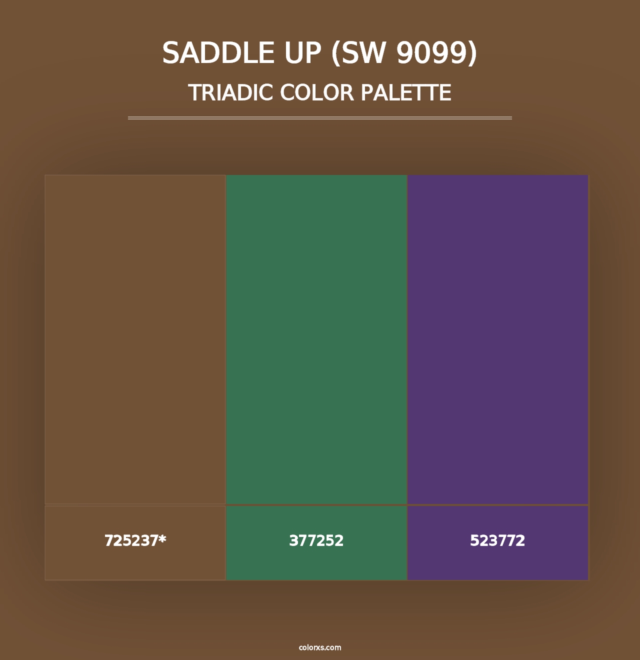 Saddle Up (SW 9099) - Triadic Color Palette