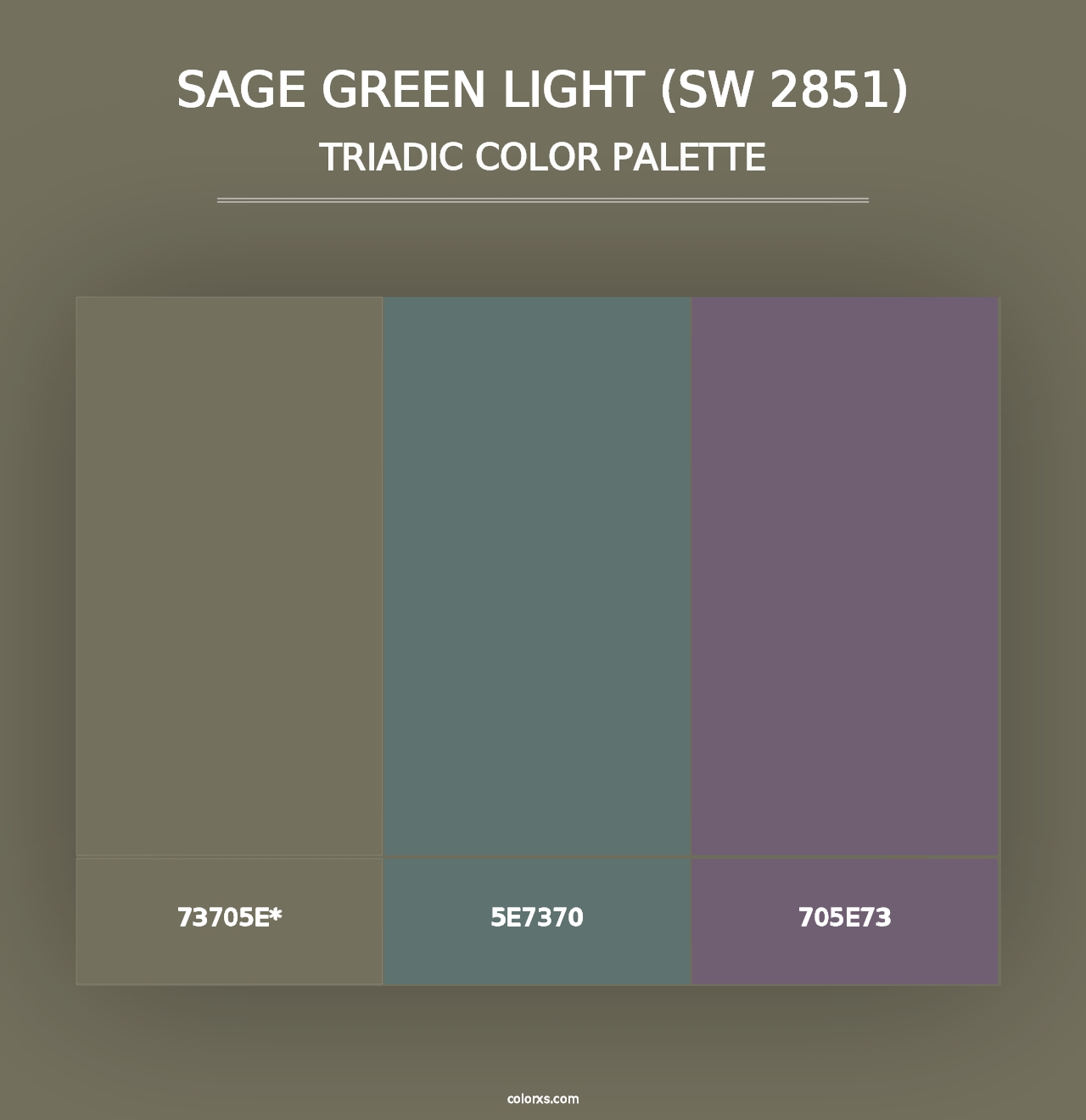 Sage Green Light (SW 2851) - Triadic Color Palette