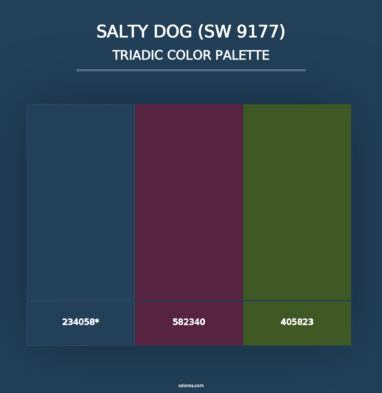 Salty Dog (SW 9177) - Triadic Color Palette