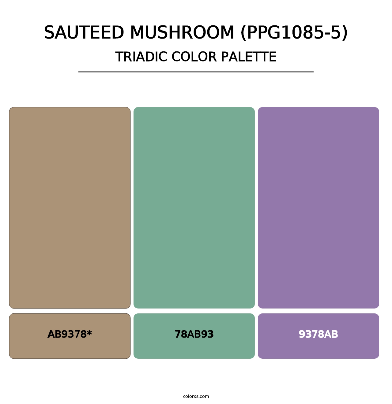 Sauteed Mushroom (PPG1085-5) - Triadic Color Palette