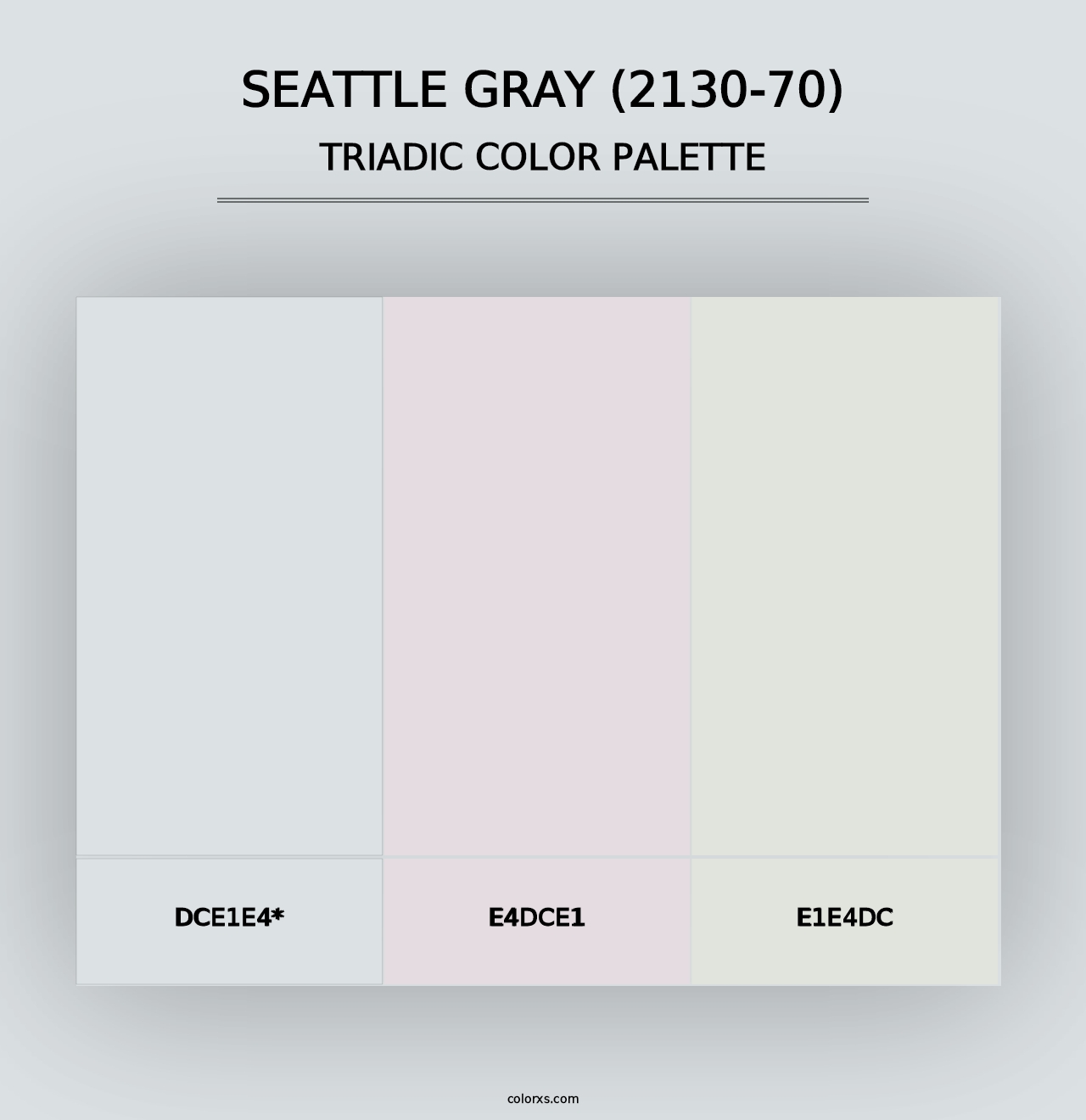 Seattle Gray (2130-70) - Triadic Color Palette