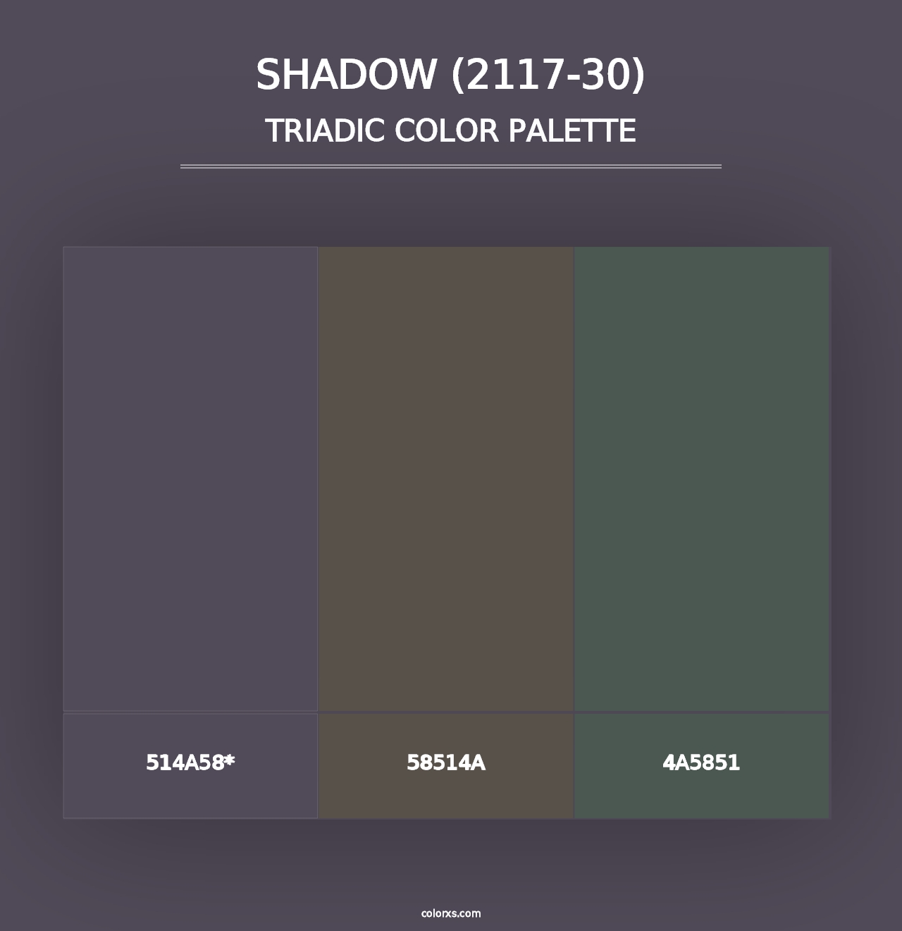 Shadow (2117-30) - Triadic Color Palette