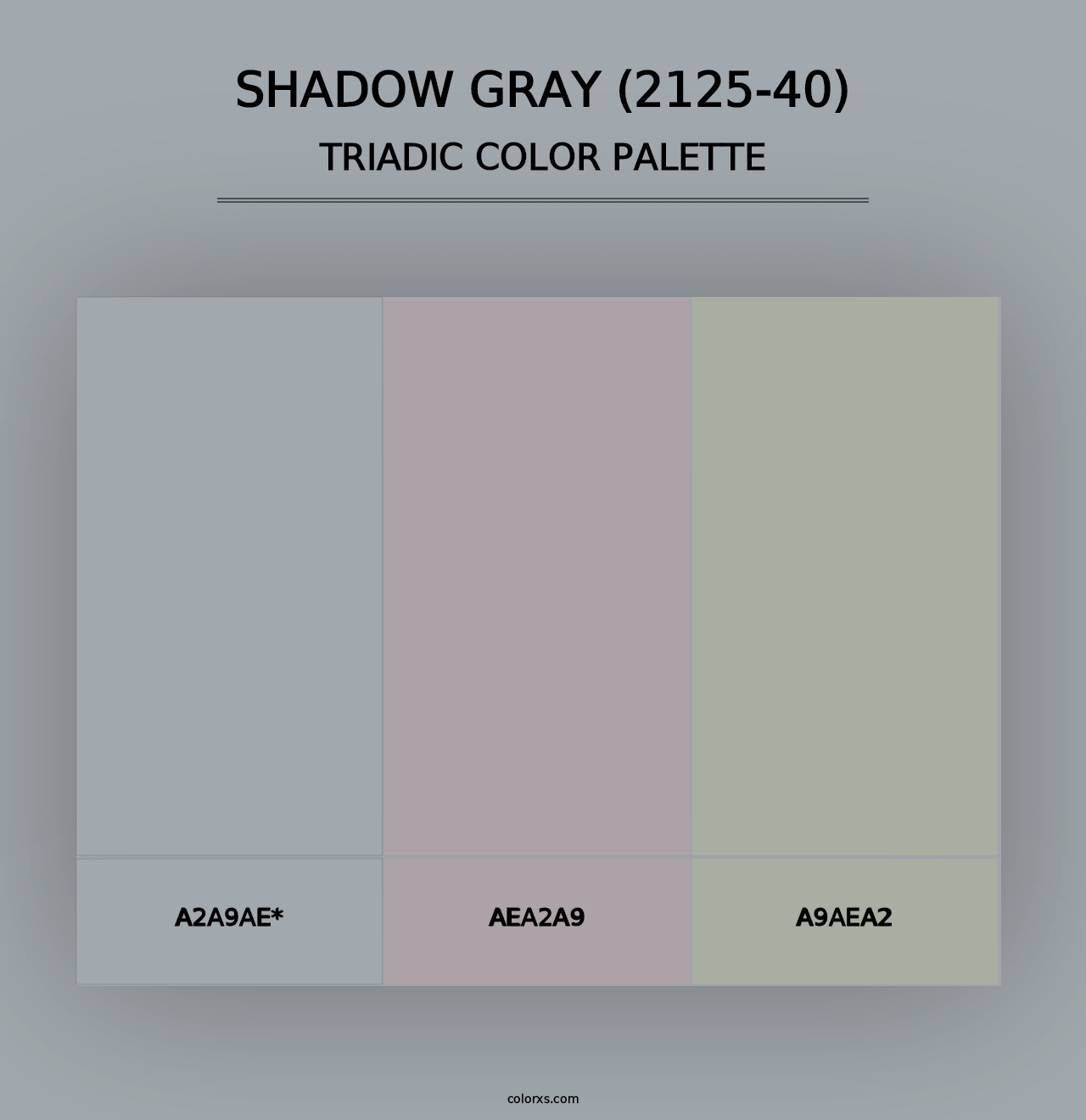 Shadow Gray (2125-40) - Triadic Color Palette