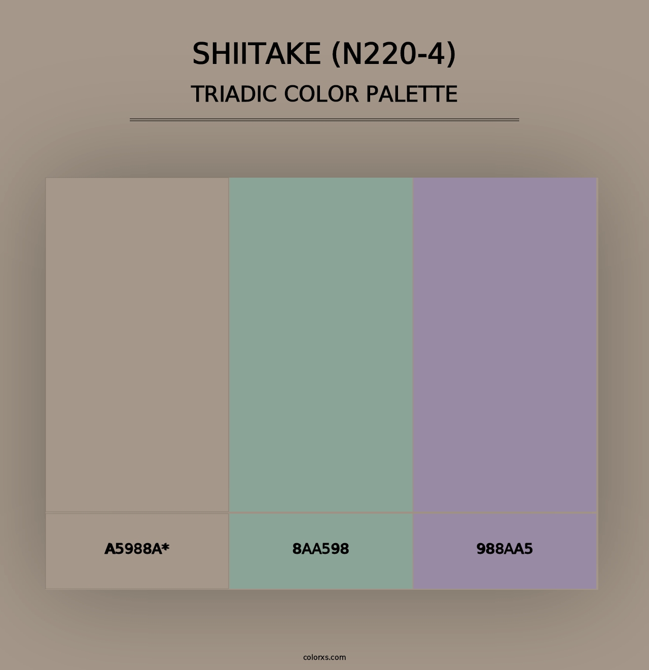 Shiitake (N220-4) - Triadic Color Palette