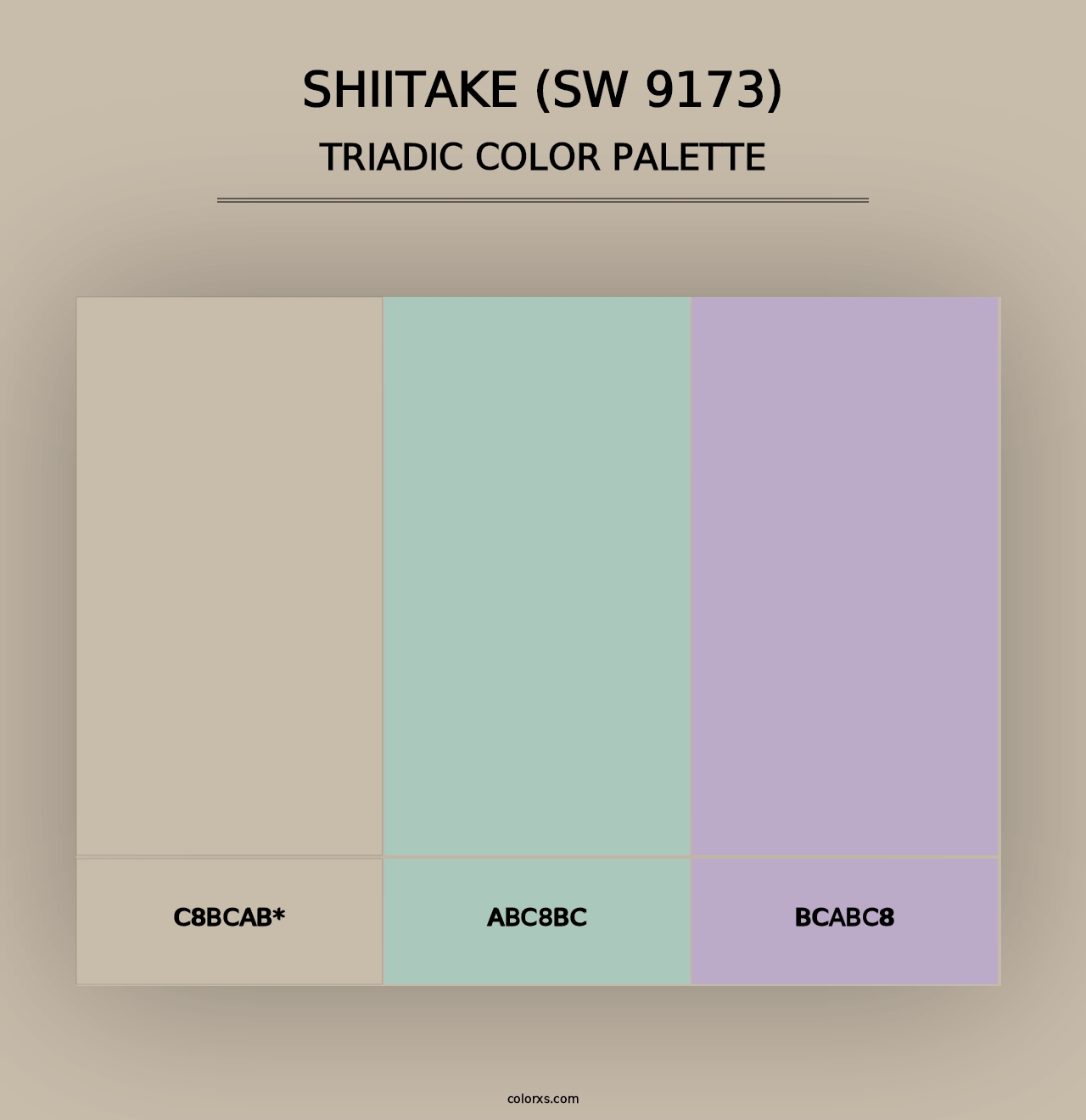 Shiitake (SW 9173) - Triadic Color Palette