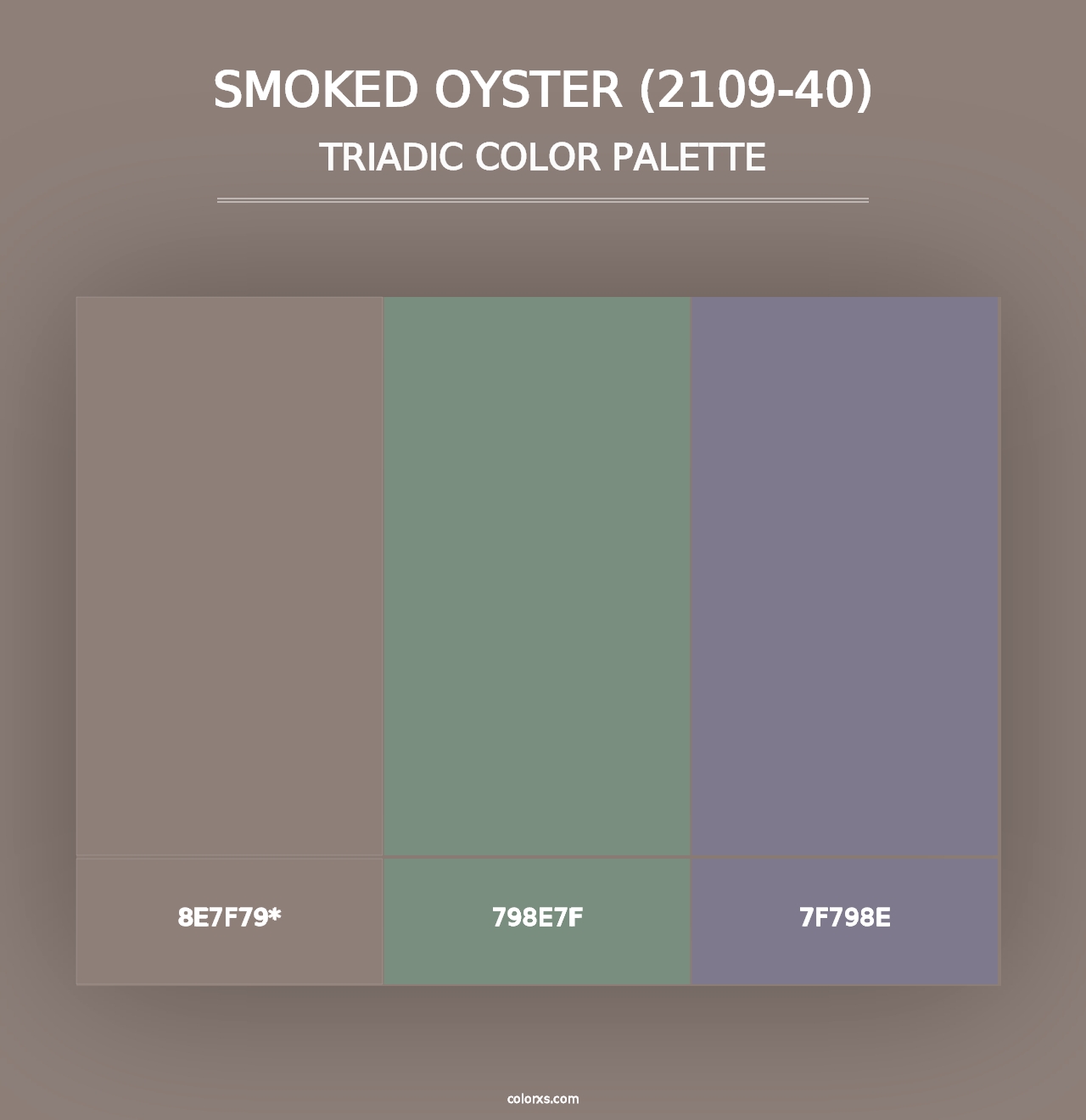 Smoked Oyster (2109-40) - Triadic Color Palette