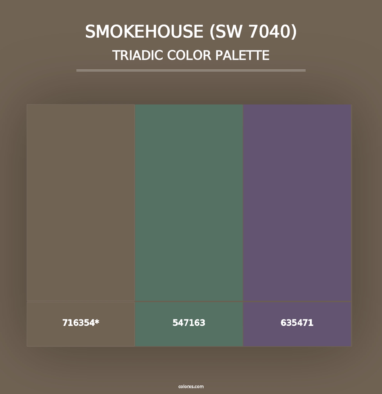 Smokehouse (SW 7040) - Triadic Color Palette