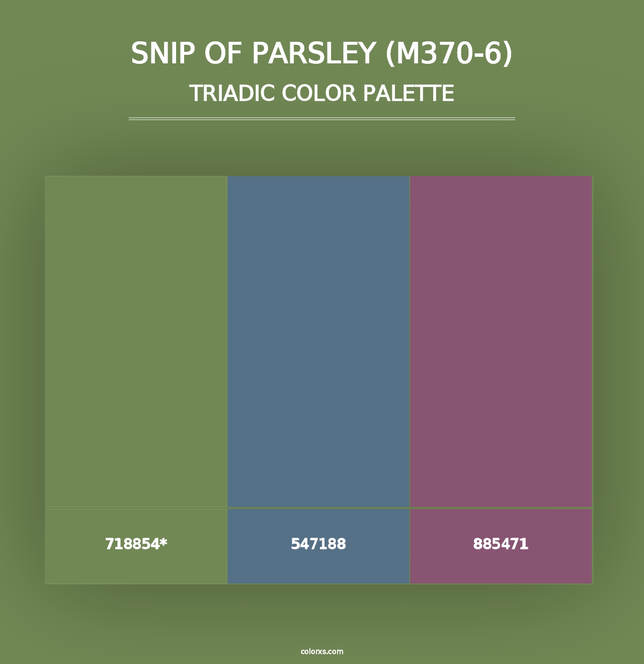 Snip Of Parsley (M370-6) - Triadic Color Palette