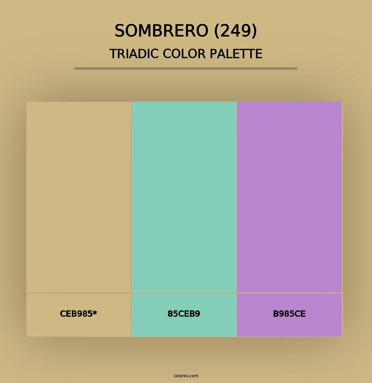 Sombrero (249) - Triadic Color Palette