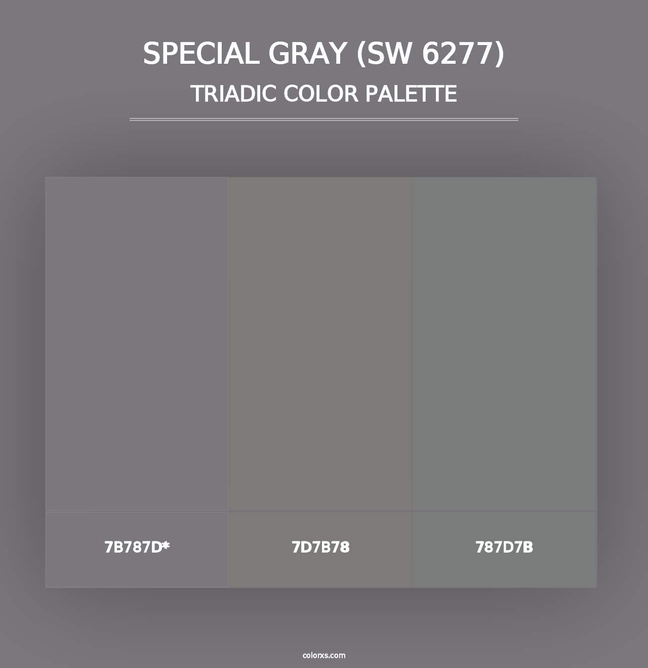 Special Gray (SW 6277) - Triadic Color Palette