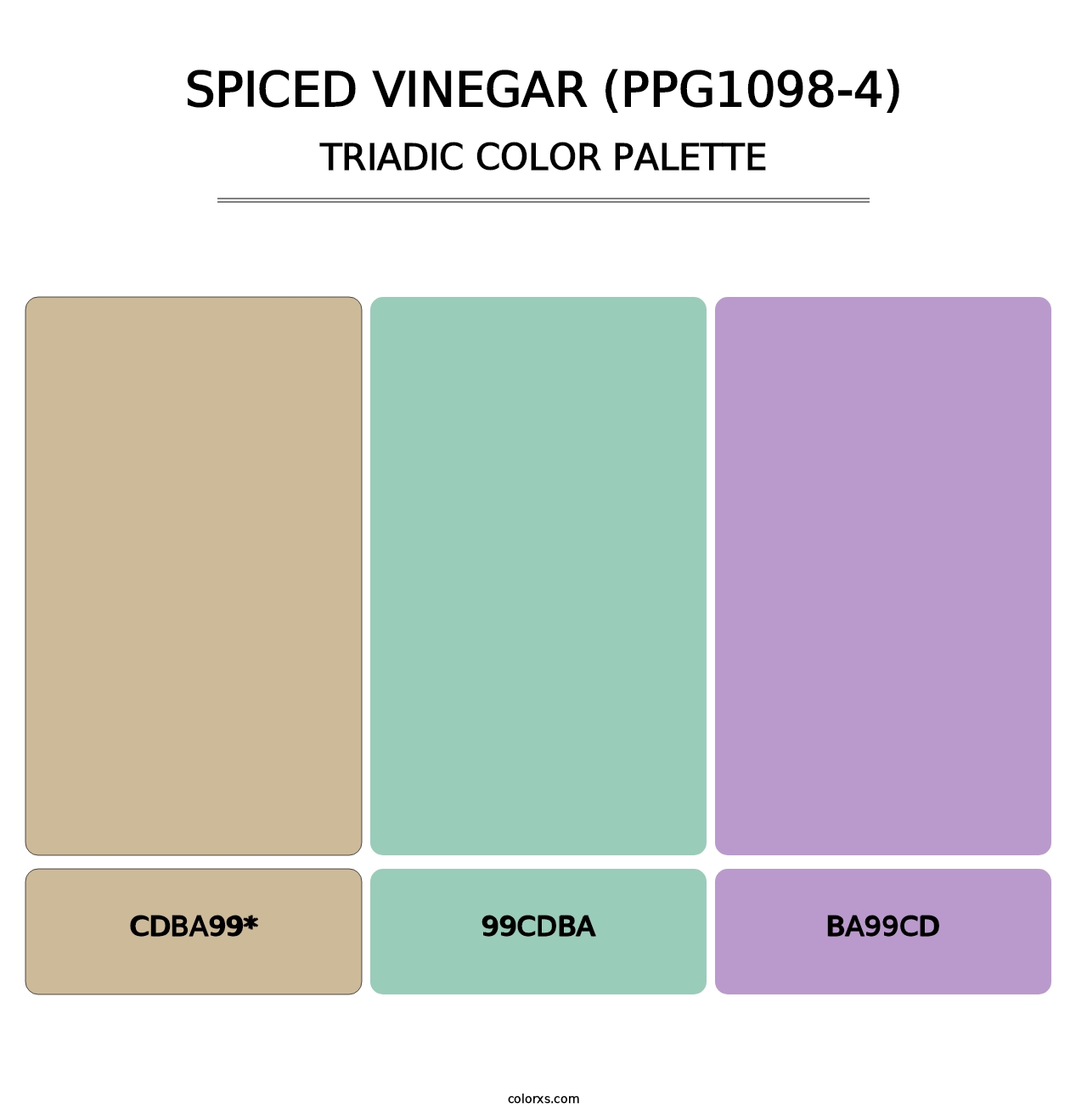 Spiced Vinegar (PPG1098-4) - Triadic Color Palette