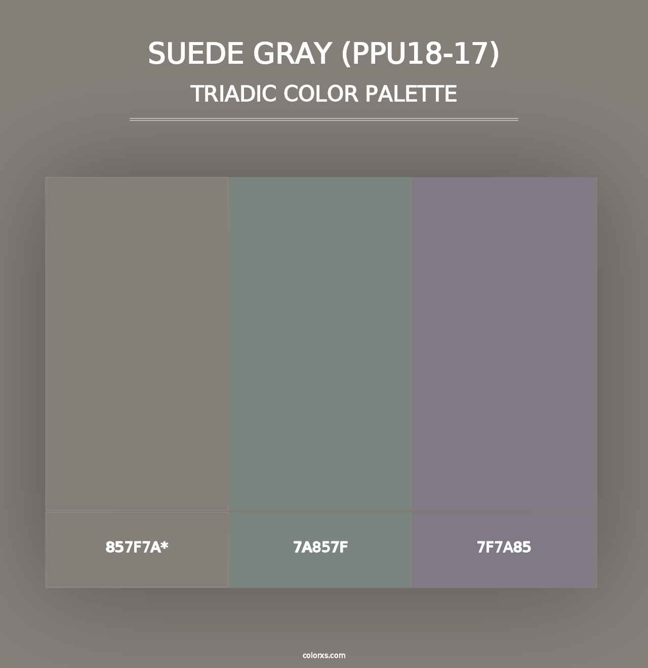 Suede Gray (PPU18-17) - Triadic Color Palette