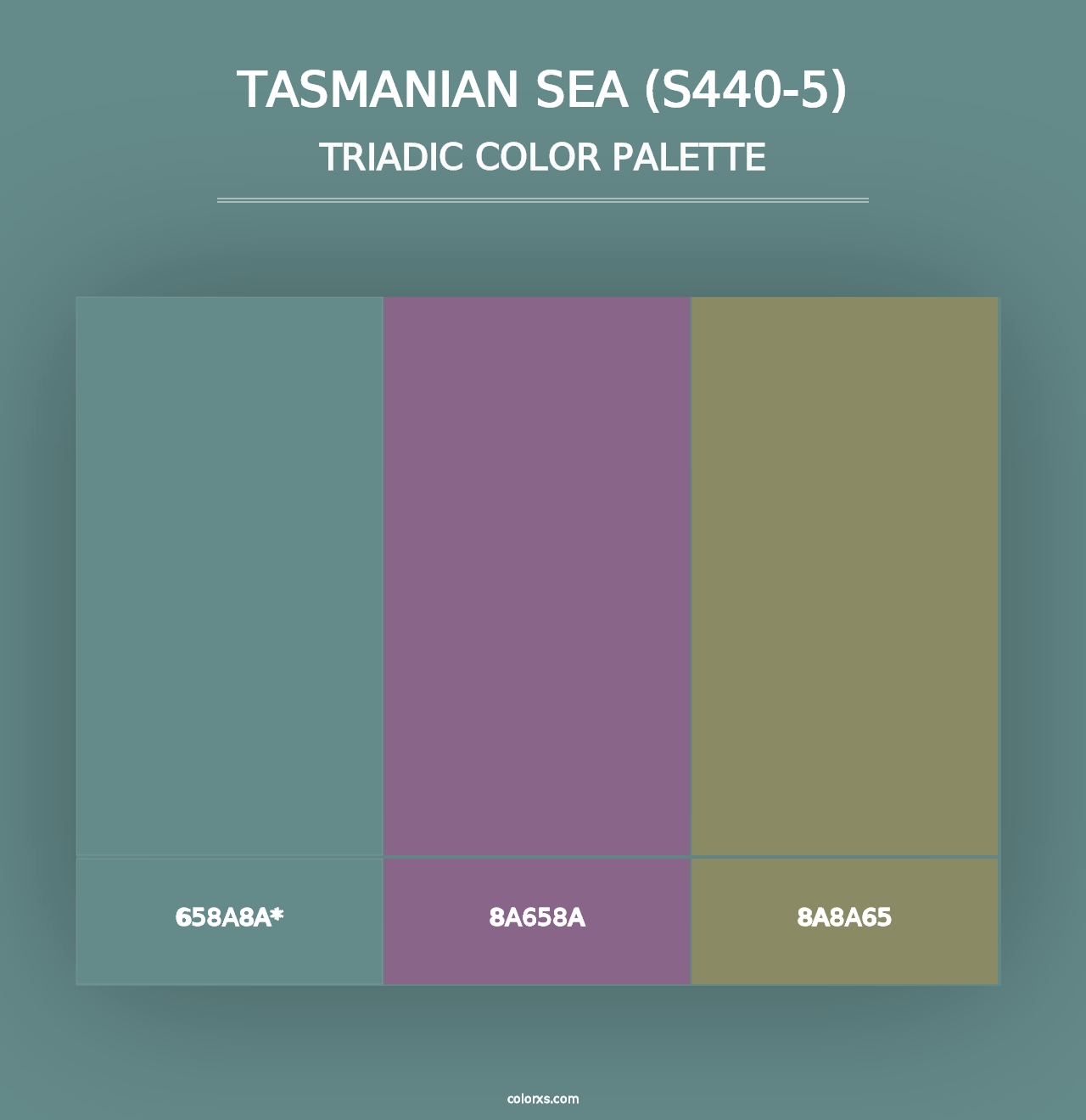 Tasmanian Sea (S440-5) - Triadic Color Palette